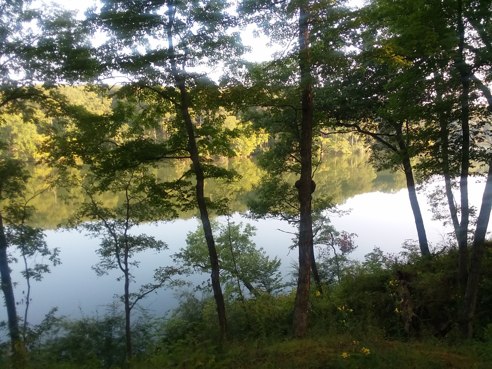 White Oak - Ramsey Lake SRA