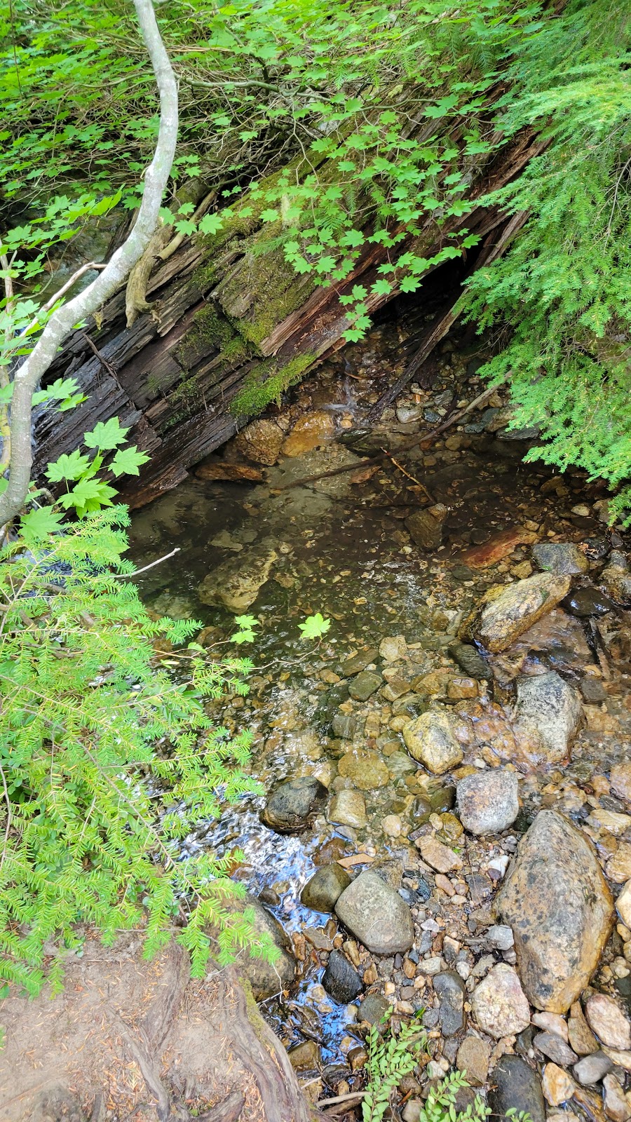 Lake Creek Campground