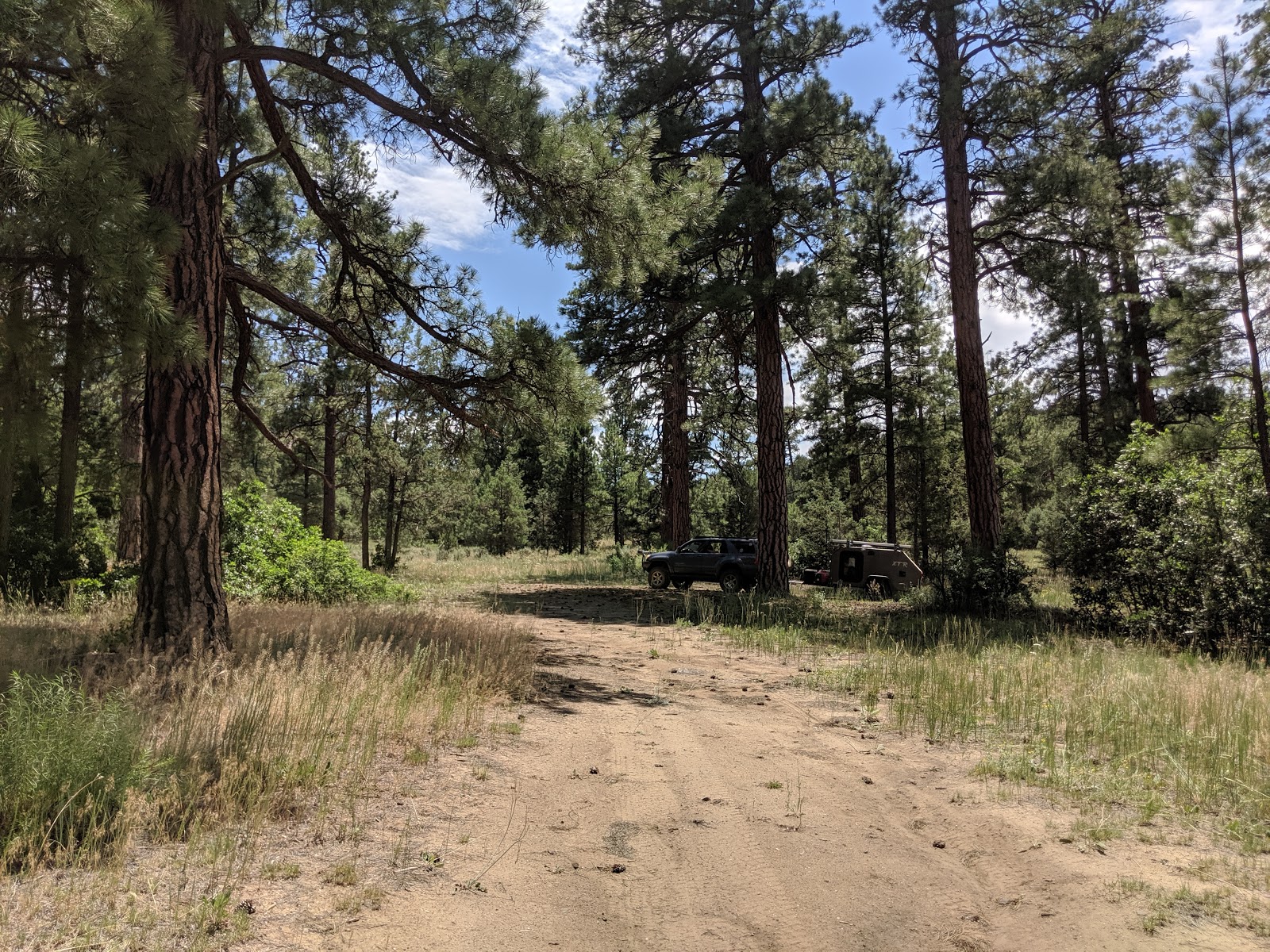 Buzzard Park Campground