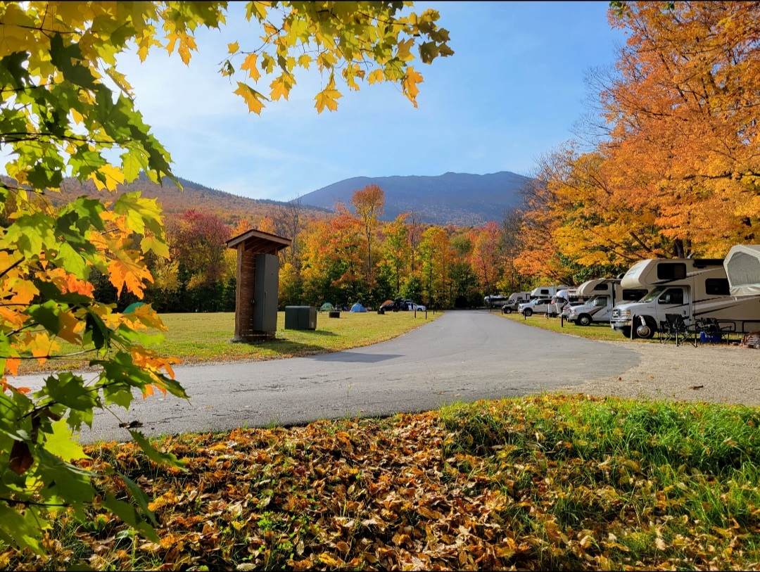 Dolly Copp Campground