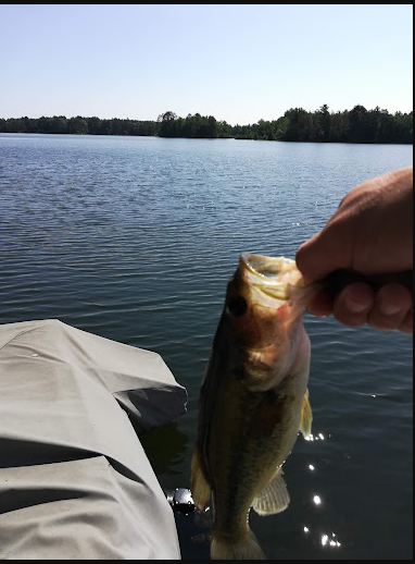 Blueberry Hill Resort Campground