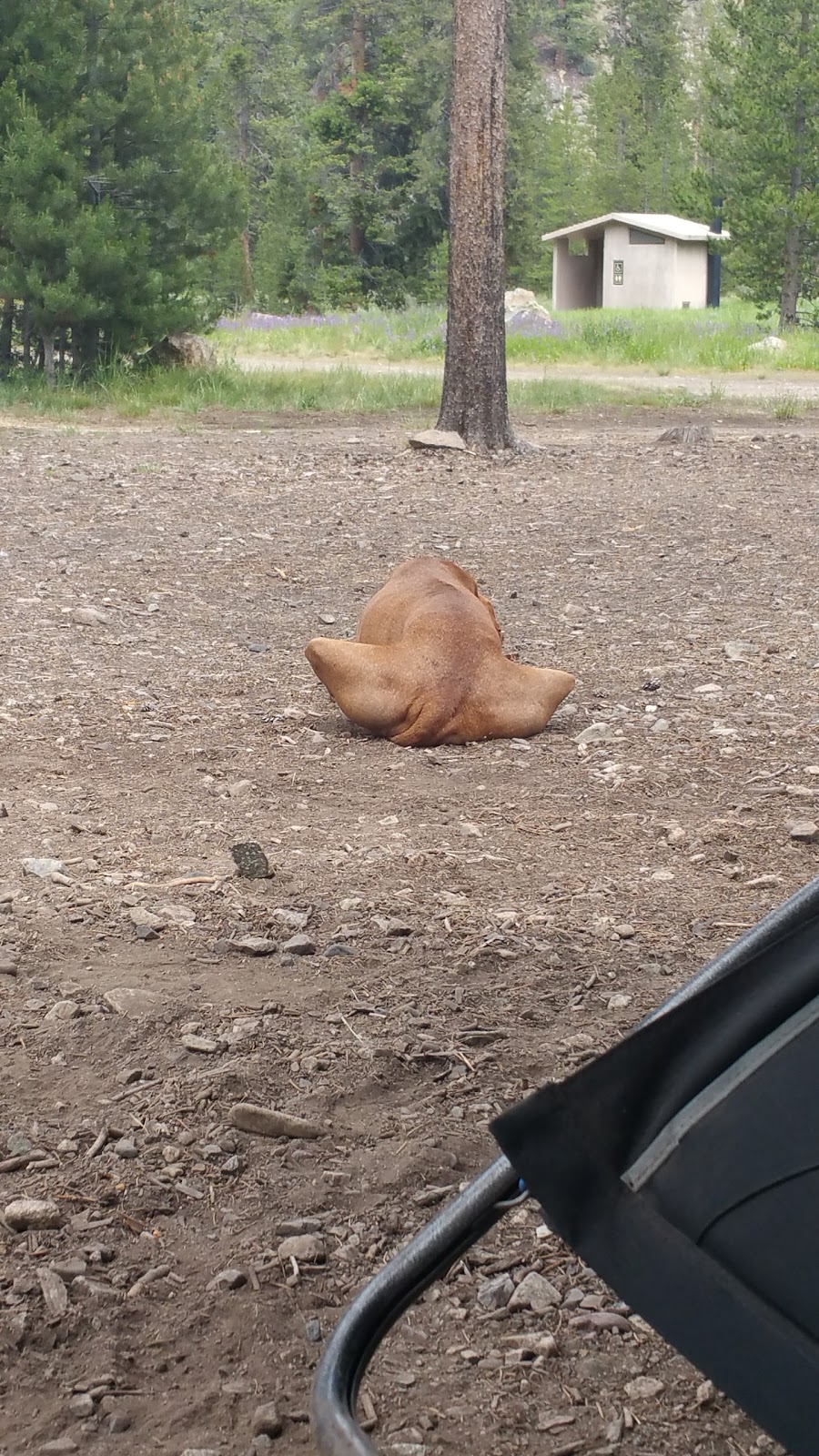 Deer Creek Campground