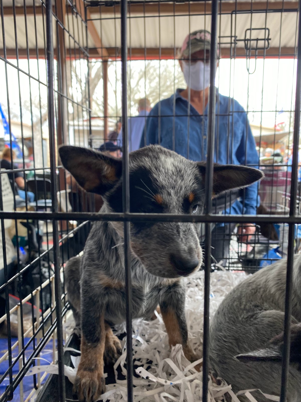 Currys Trade Grounds and RV Park