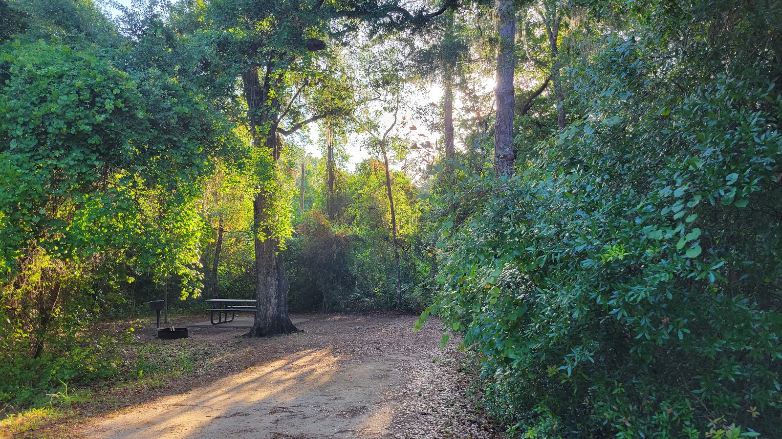 Lake Eaton NF Campground