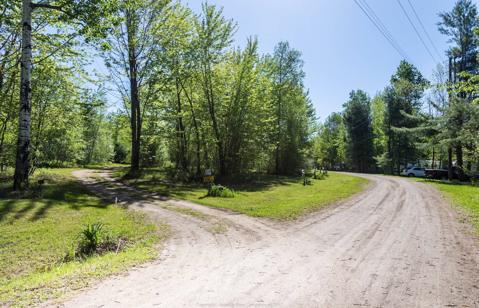 Au Sable River Campsite