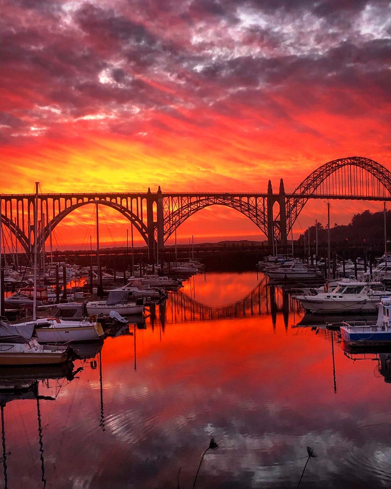 Port of Newport RV Park