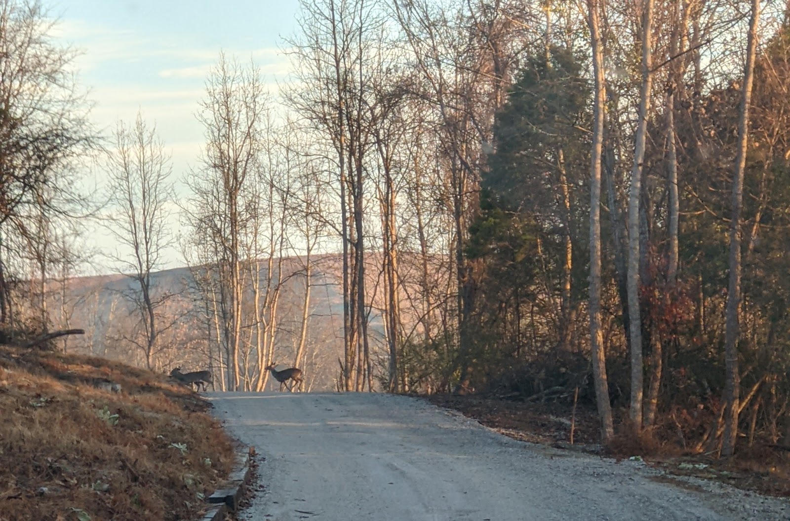 Cumberland Valley RV Ranch