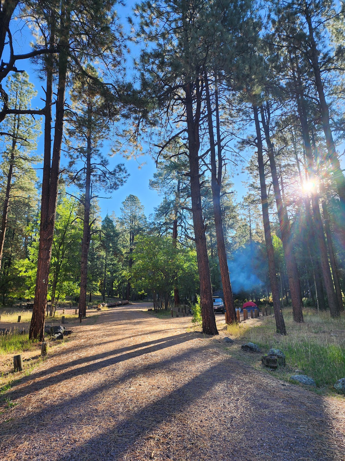 Alpine Divide Campground