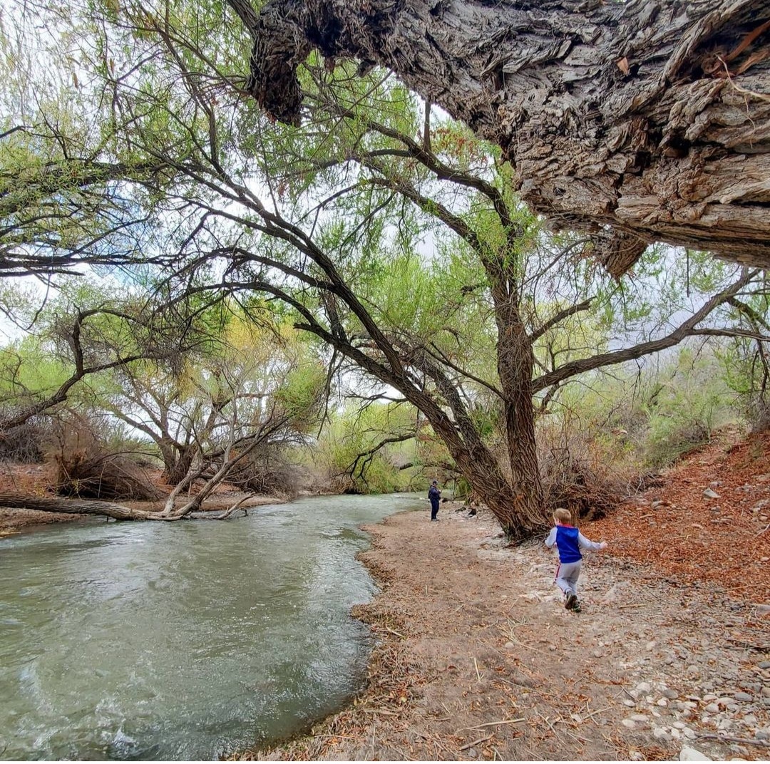 Riverside Campground