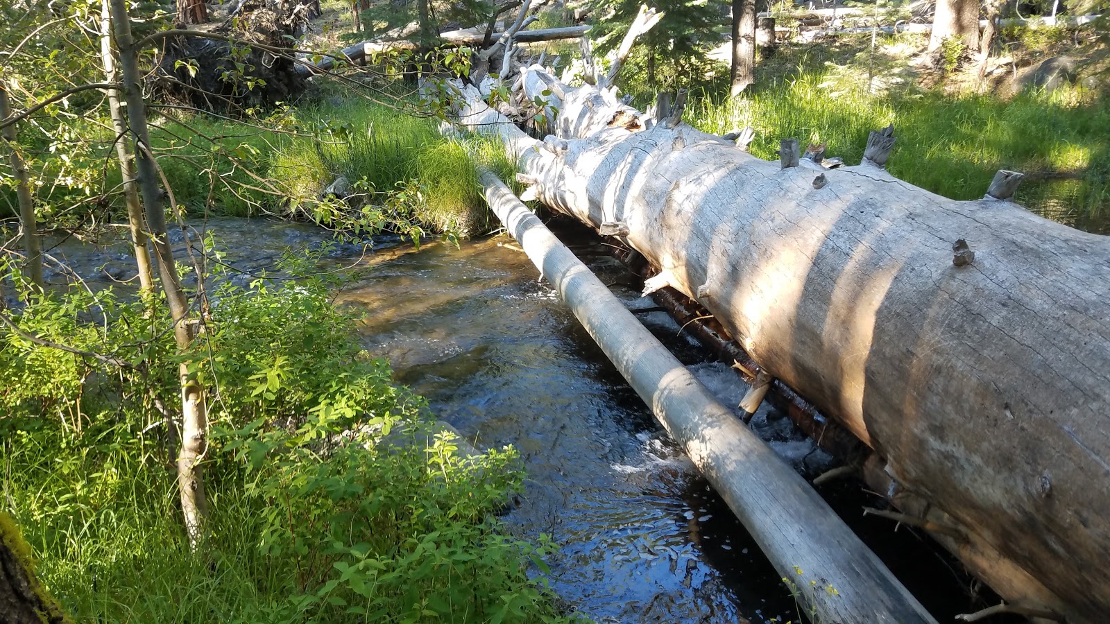 Butte Creek Campground