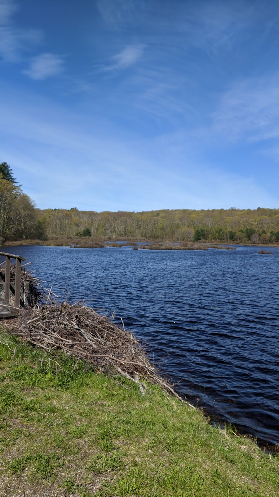 Natchaug State Forest