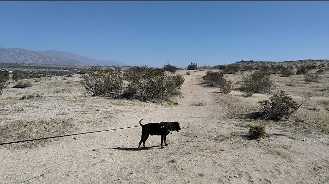 Wagner Mobile Home Park