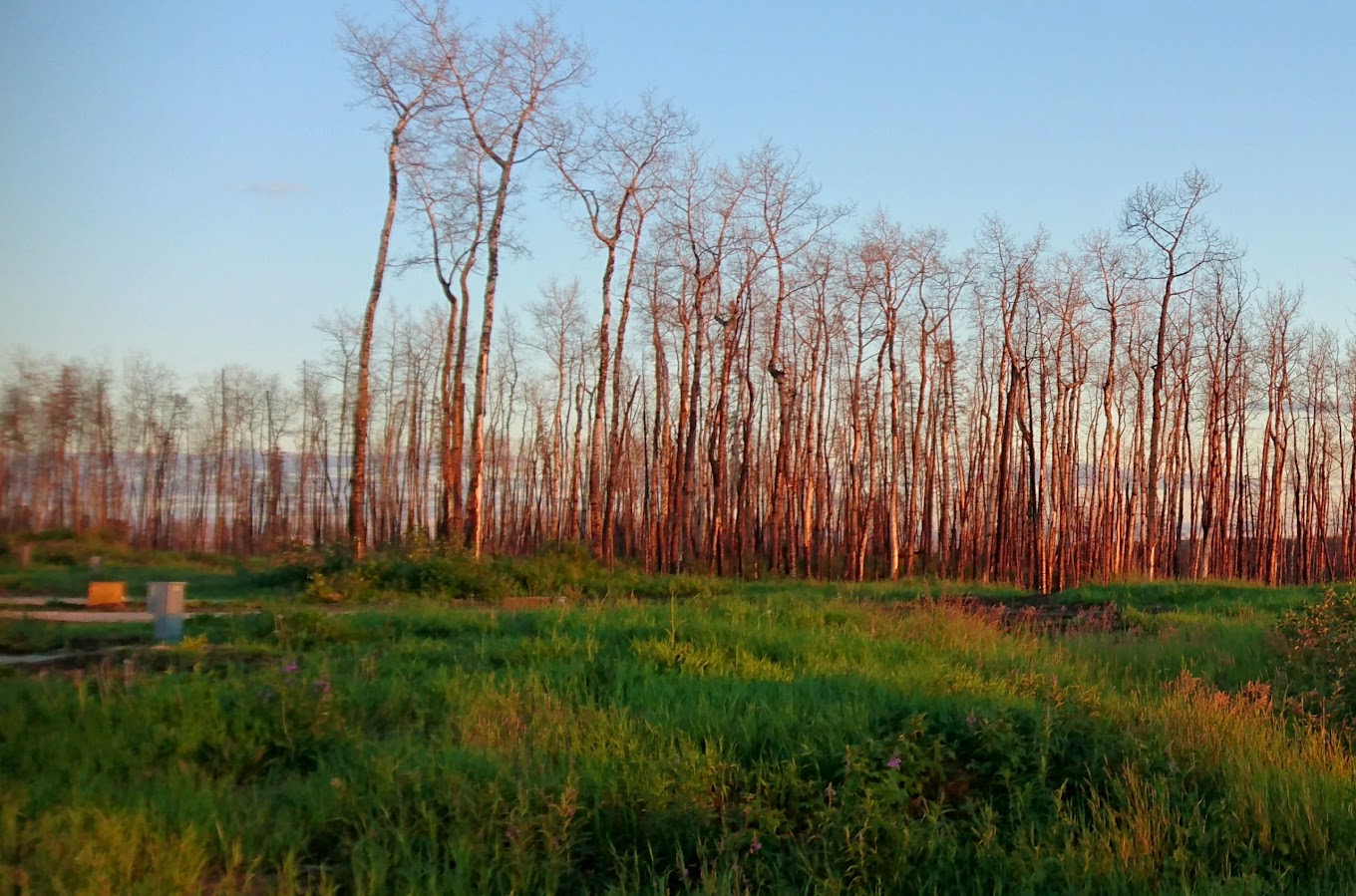 Centennial RV Park and Campground