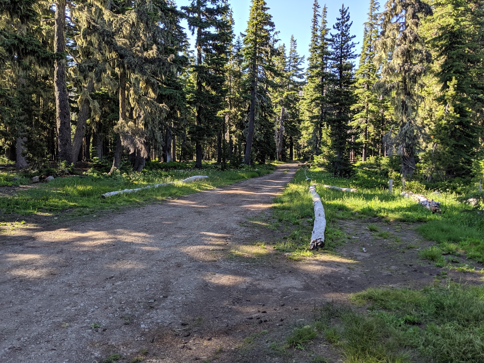 Breitenbush Lake Campground
