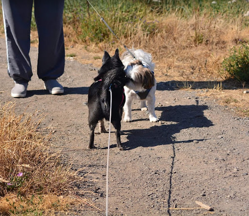 Point Hudson Resort Marina and RV Park