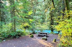 Fir Top Campground