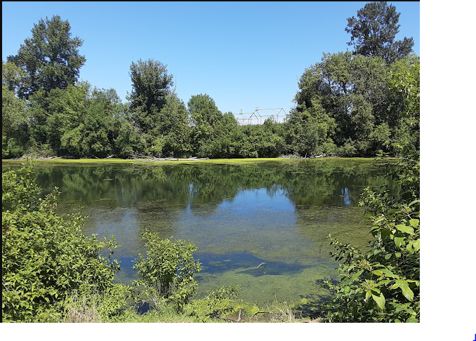 Willamette Mission State Park