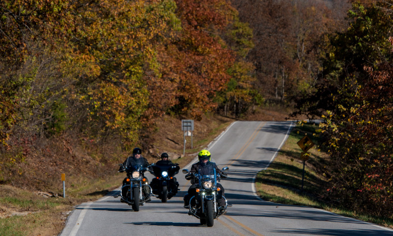 Growl and Lasso - Bear Creek Growl