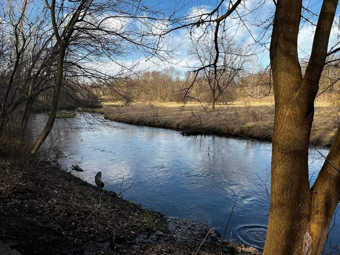 Way-Back-In-Campground