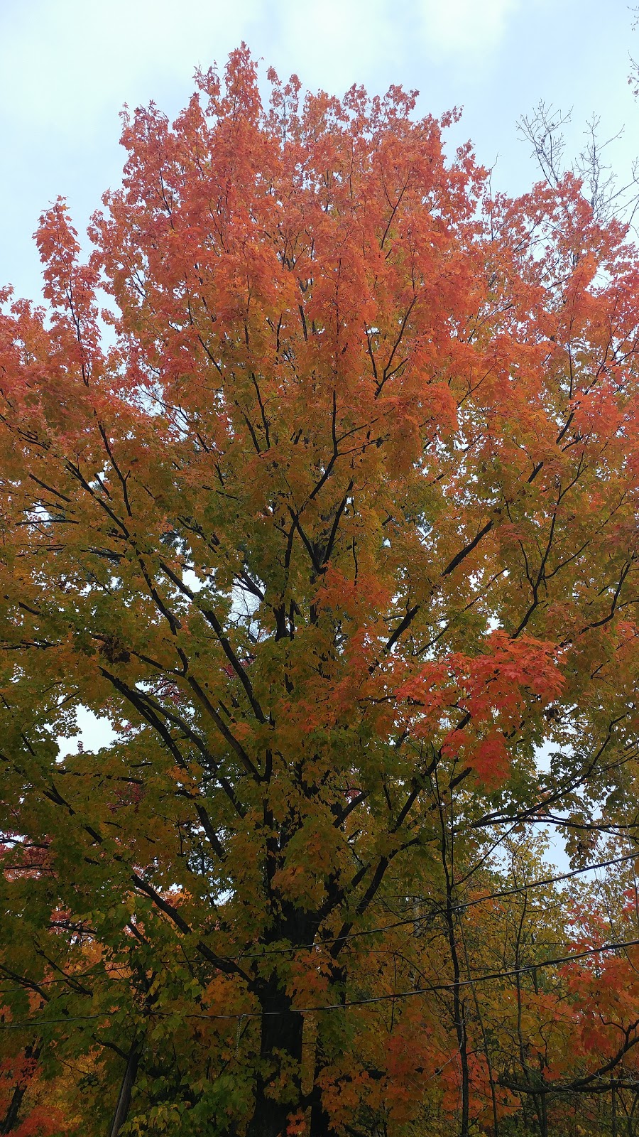 Riverbend Campground and Canoe Rental
