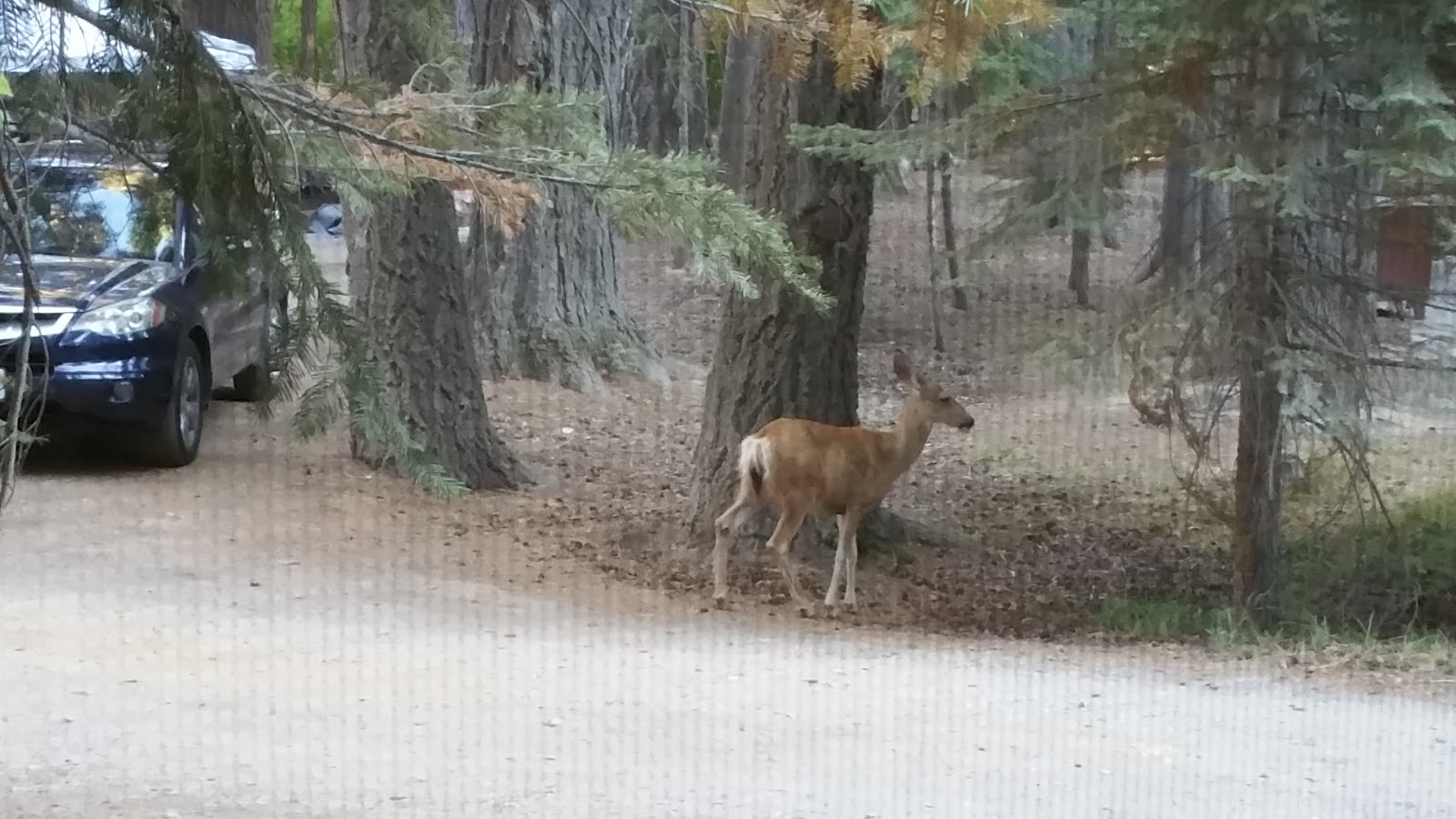 Aspen Grove Campground