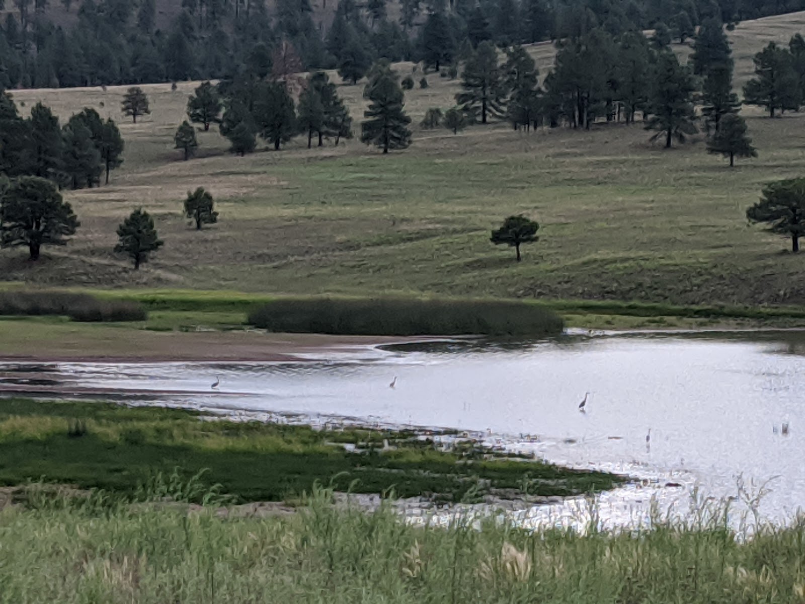 Dipping Vat Campground