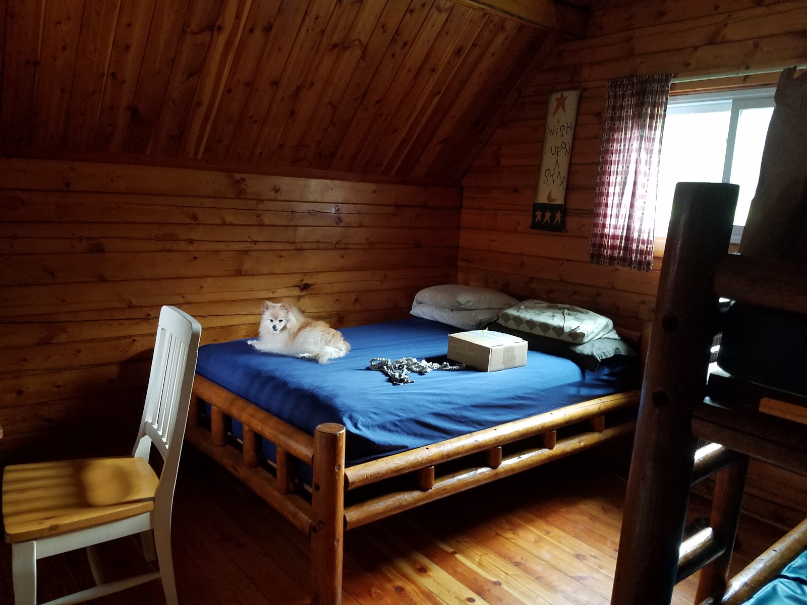 Kansas City East / Oak Grove KOA