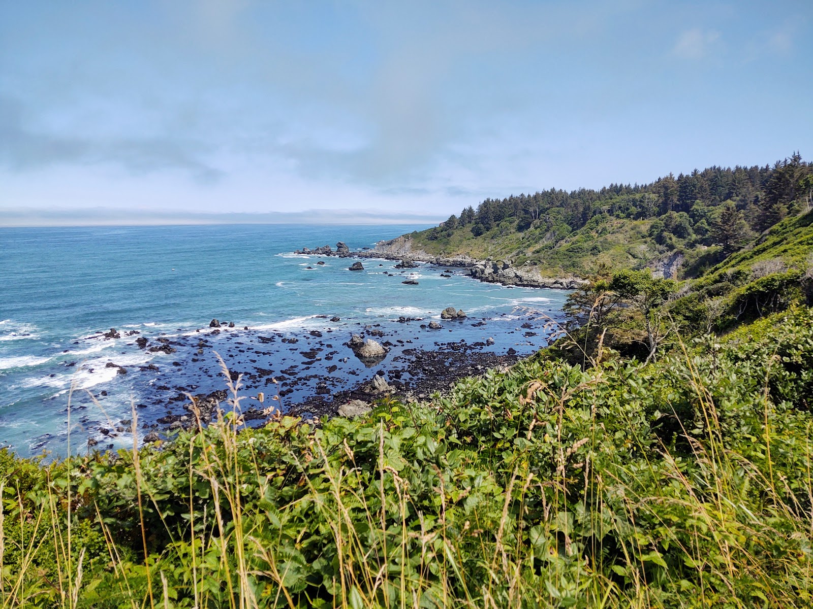 Sylvan Harbor RV Park and Cabins