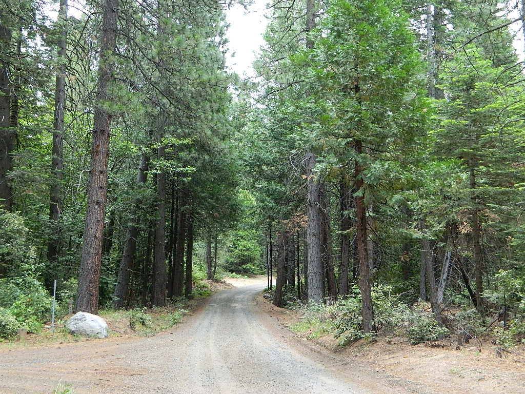 Rogers Cow Campground