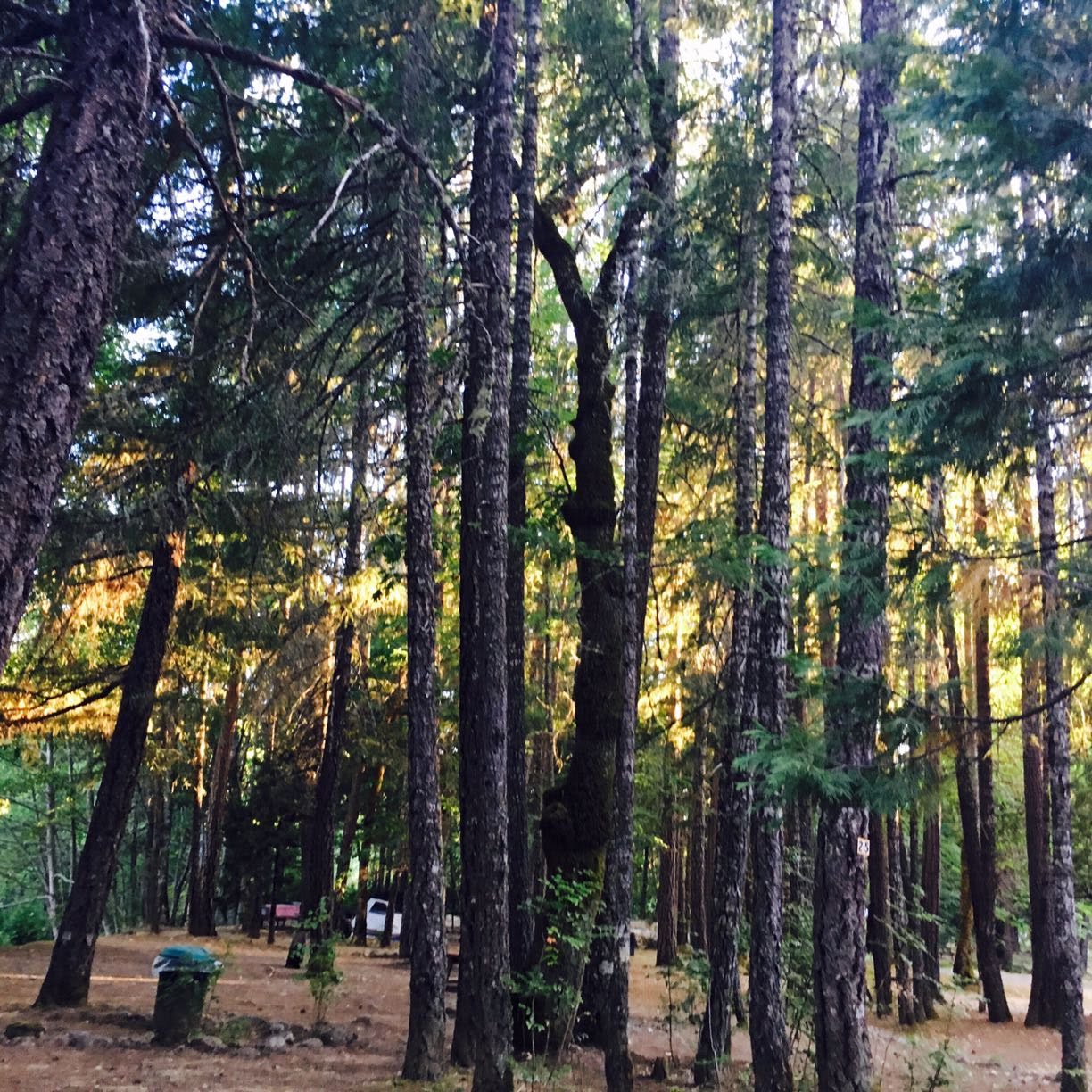 Country Hills Resort