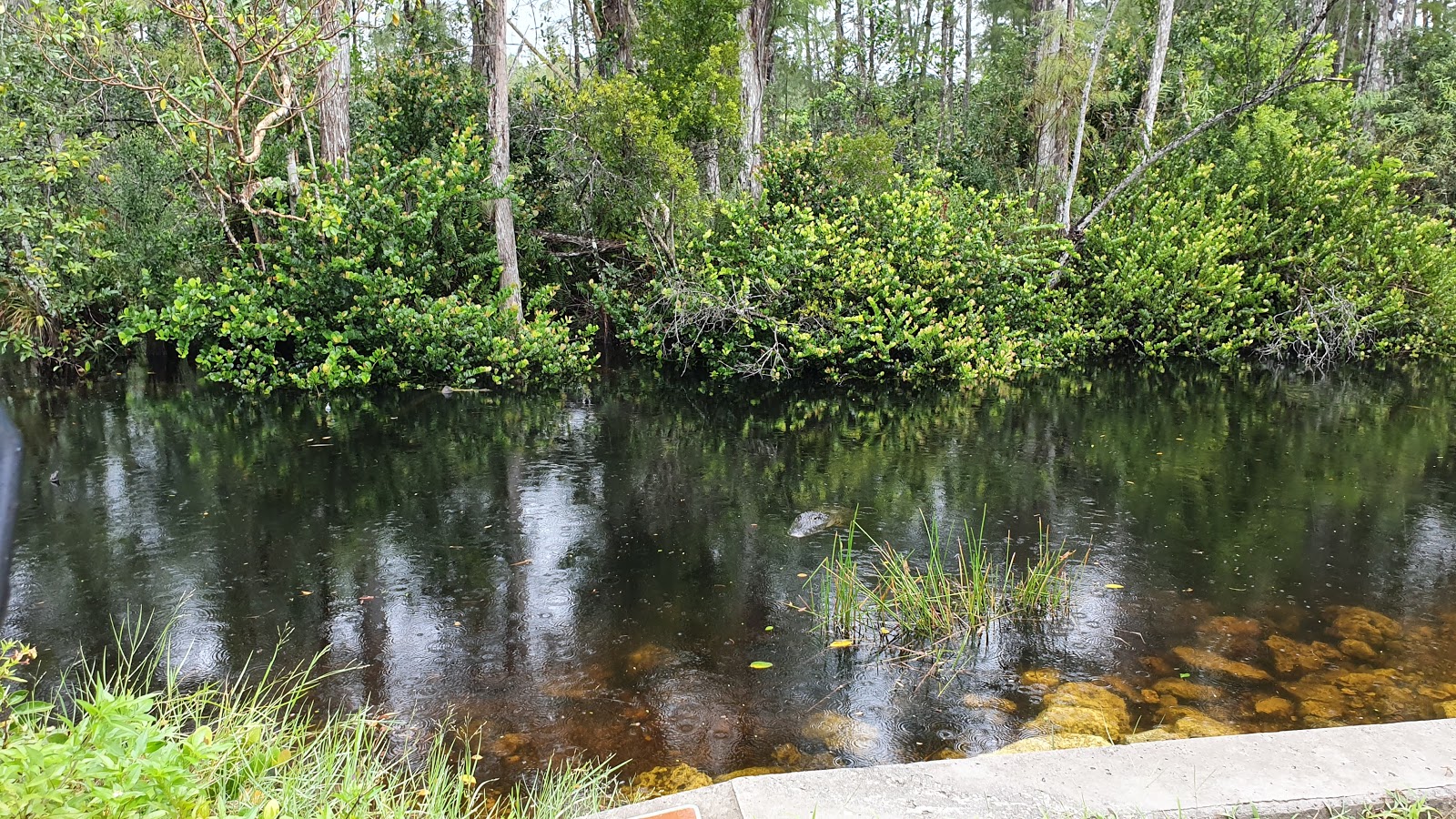 Mitchells Landing - Big Cypress National