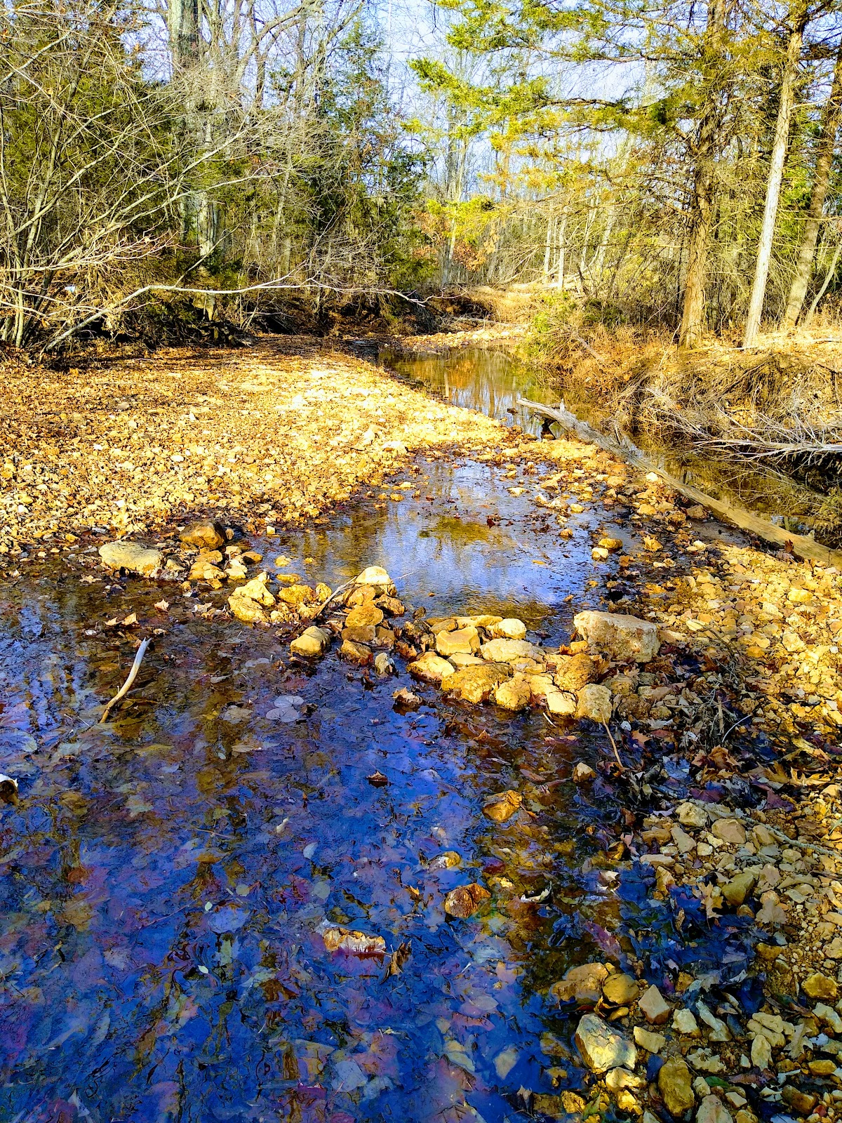 Blue Springs Ranch & Resort