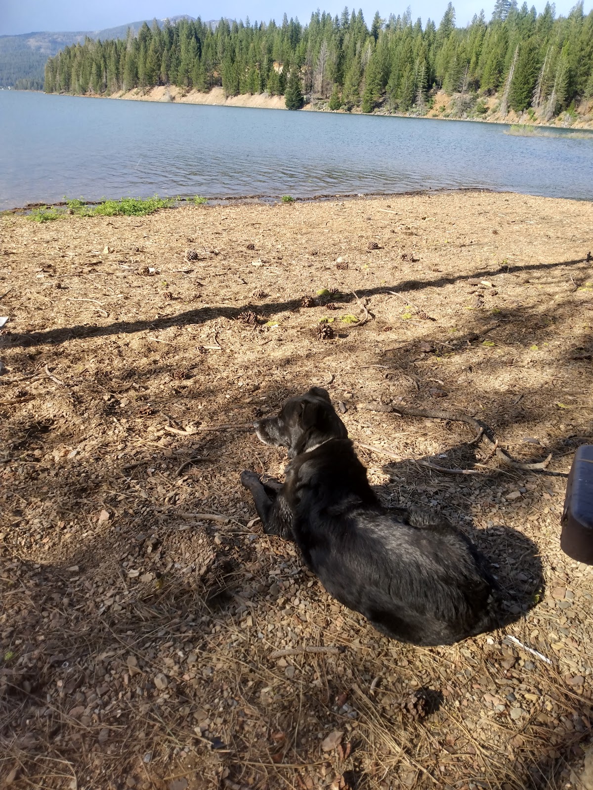 Wilson Lake Campground