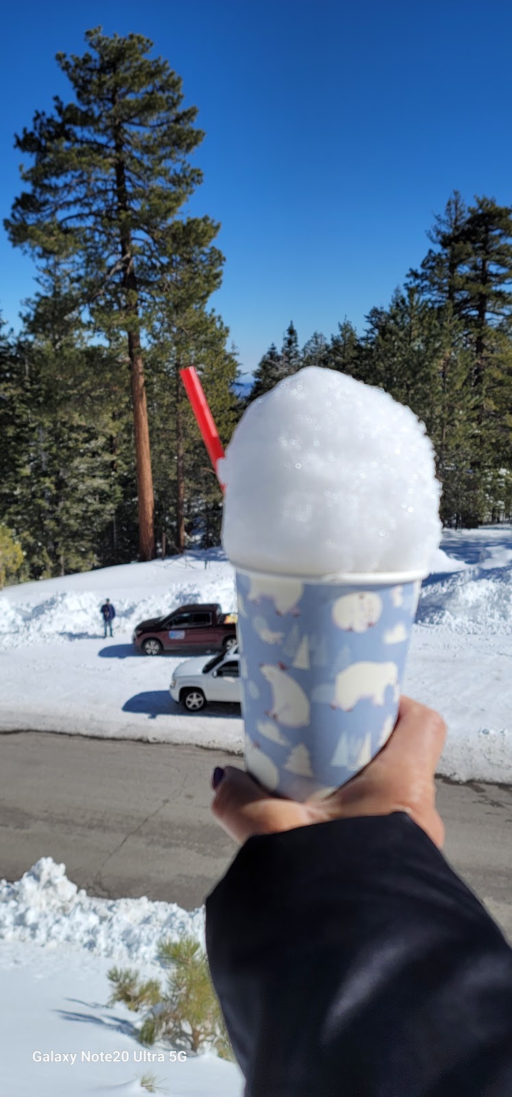 Mount Pinos Campground