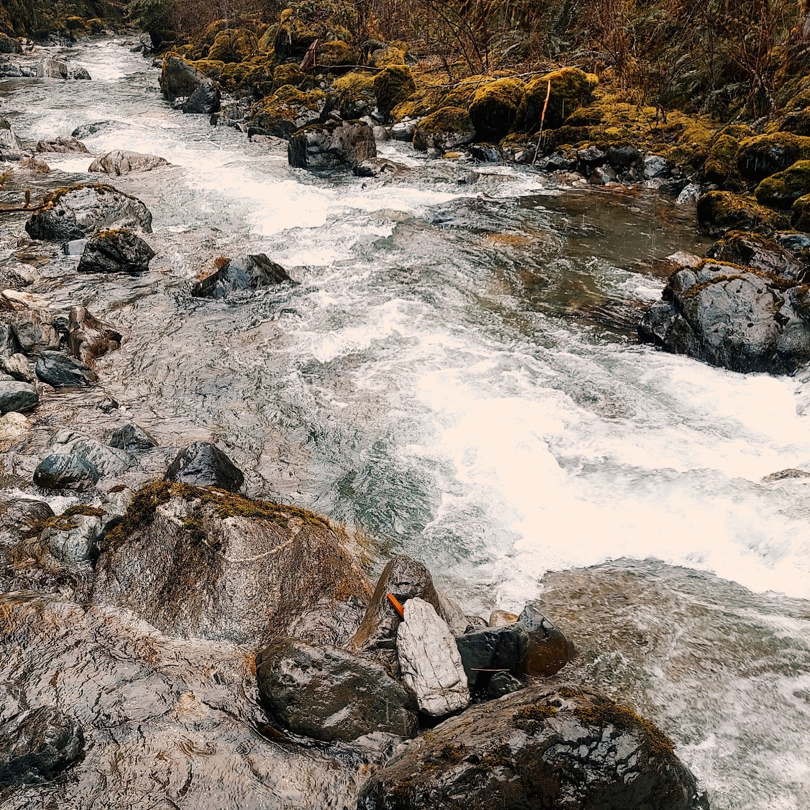 Wilderness Village RV Park