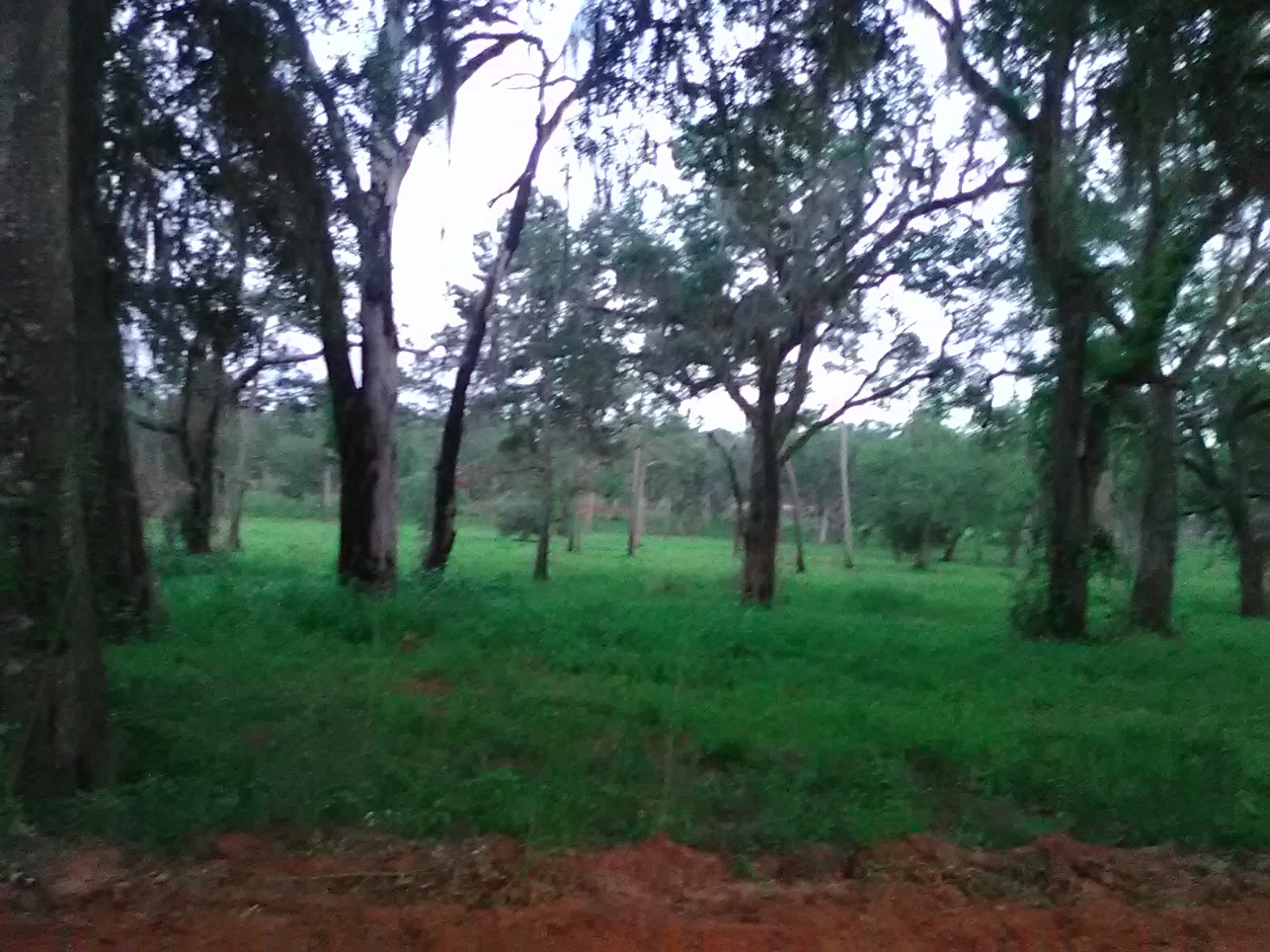 Fins and Feathers Campground