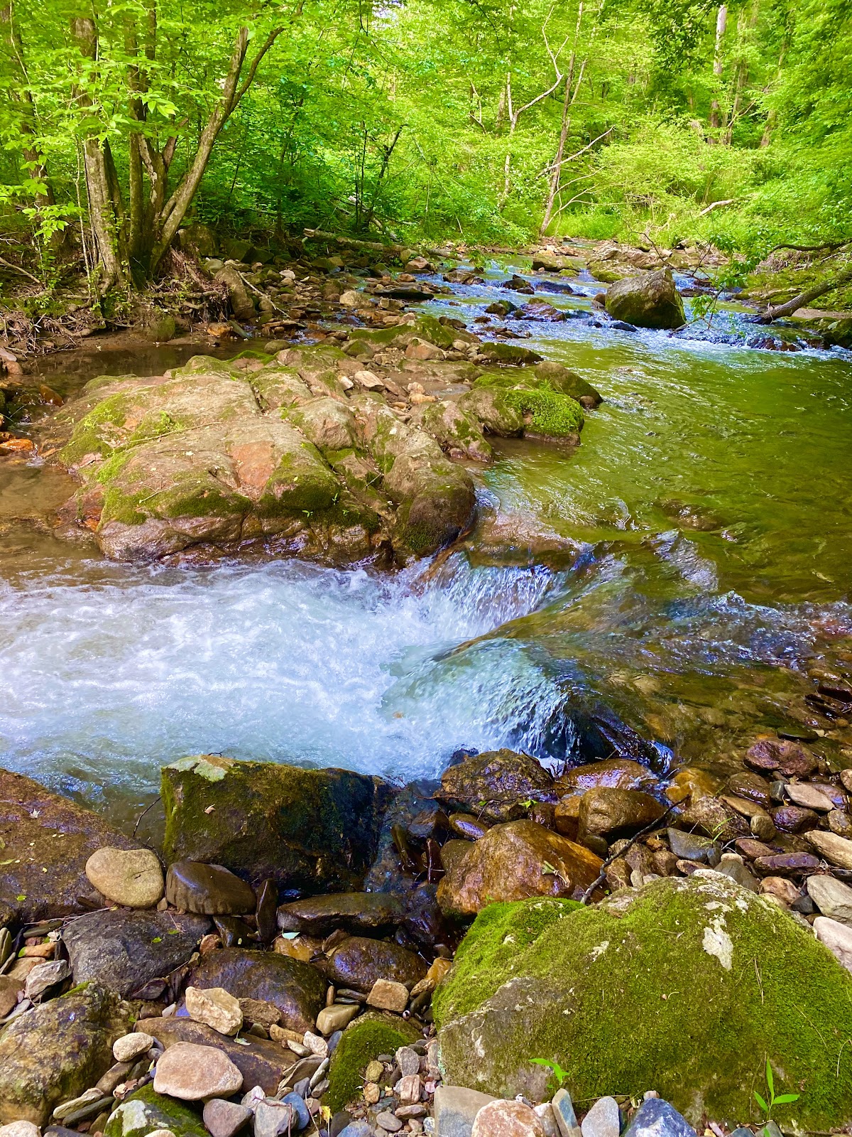 Deerhorn Park Family Campground