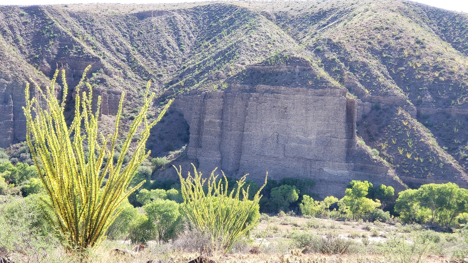 Riverview Campground (recgovnpsdata)