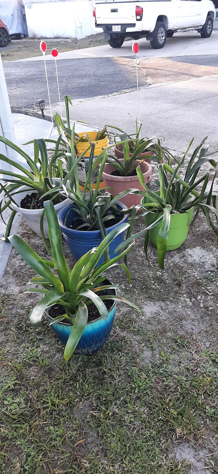 Lakemont Ridge 55+ Home & RV Park