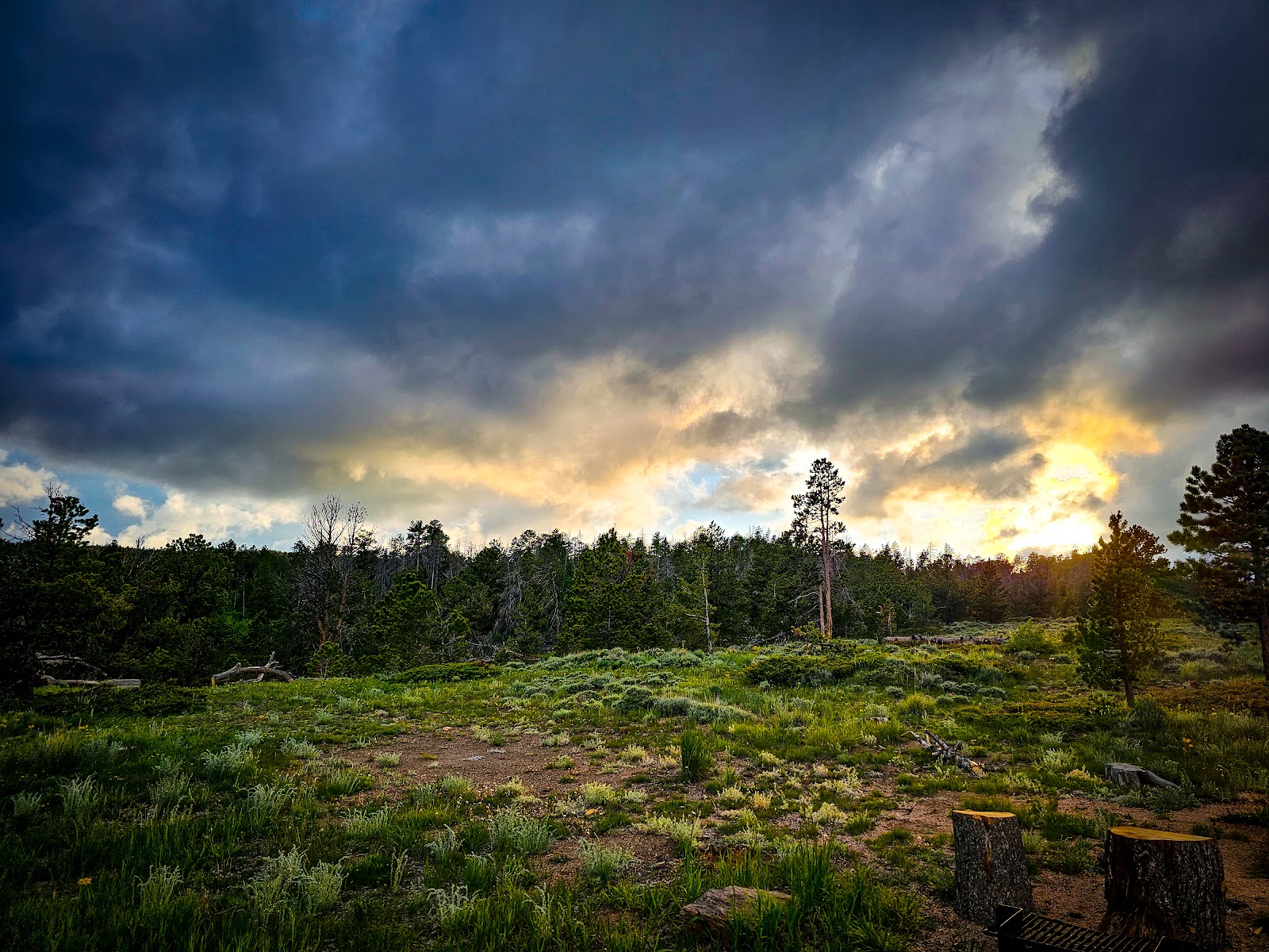 Yellow Pine Campground