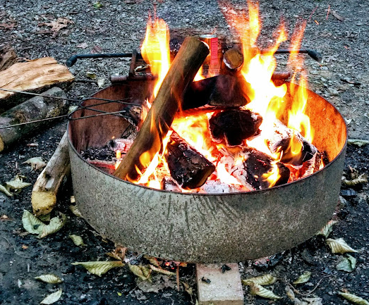Tygart Lake State Park