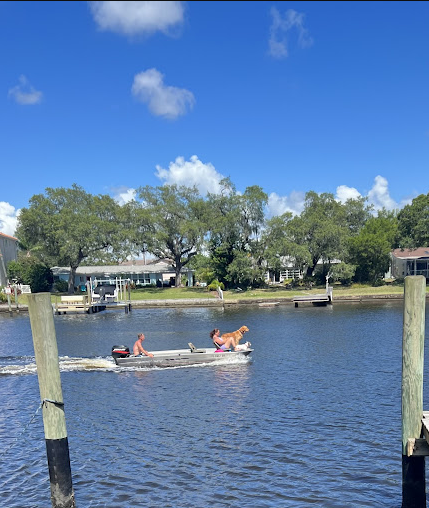 Bayshore Cove Mobile & RV Park