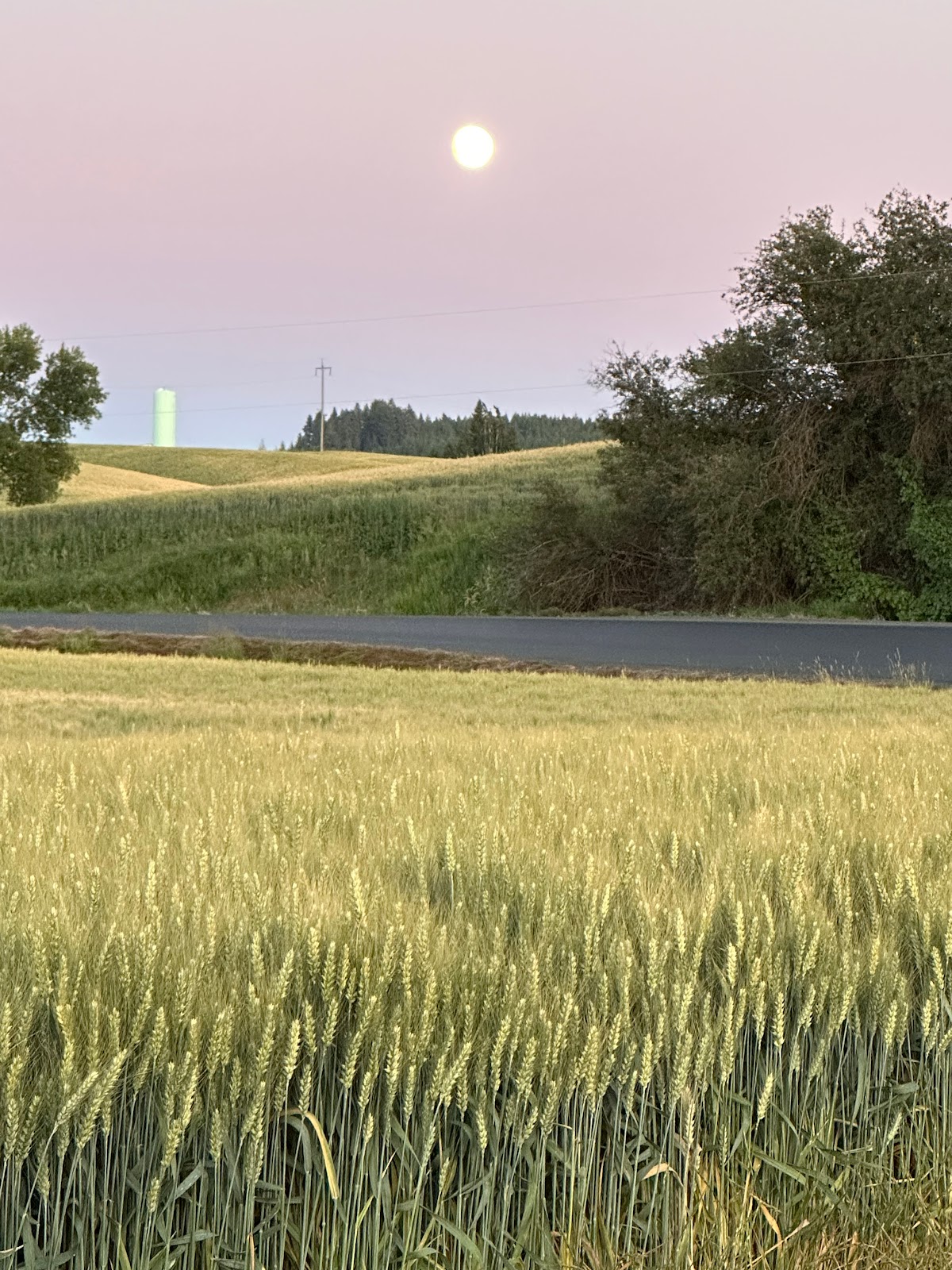 Hilltop Mobile Home & RV Park