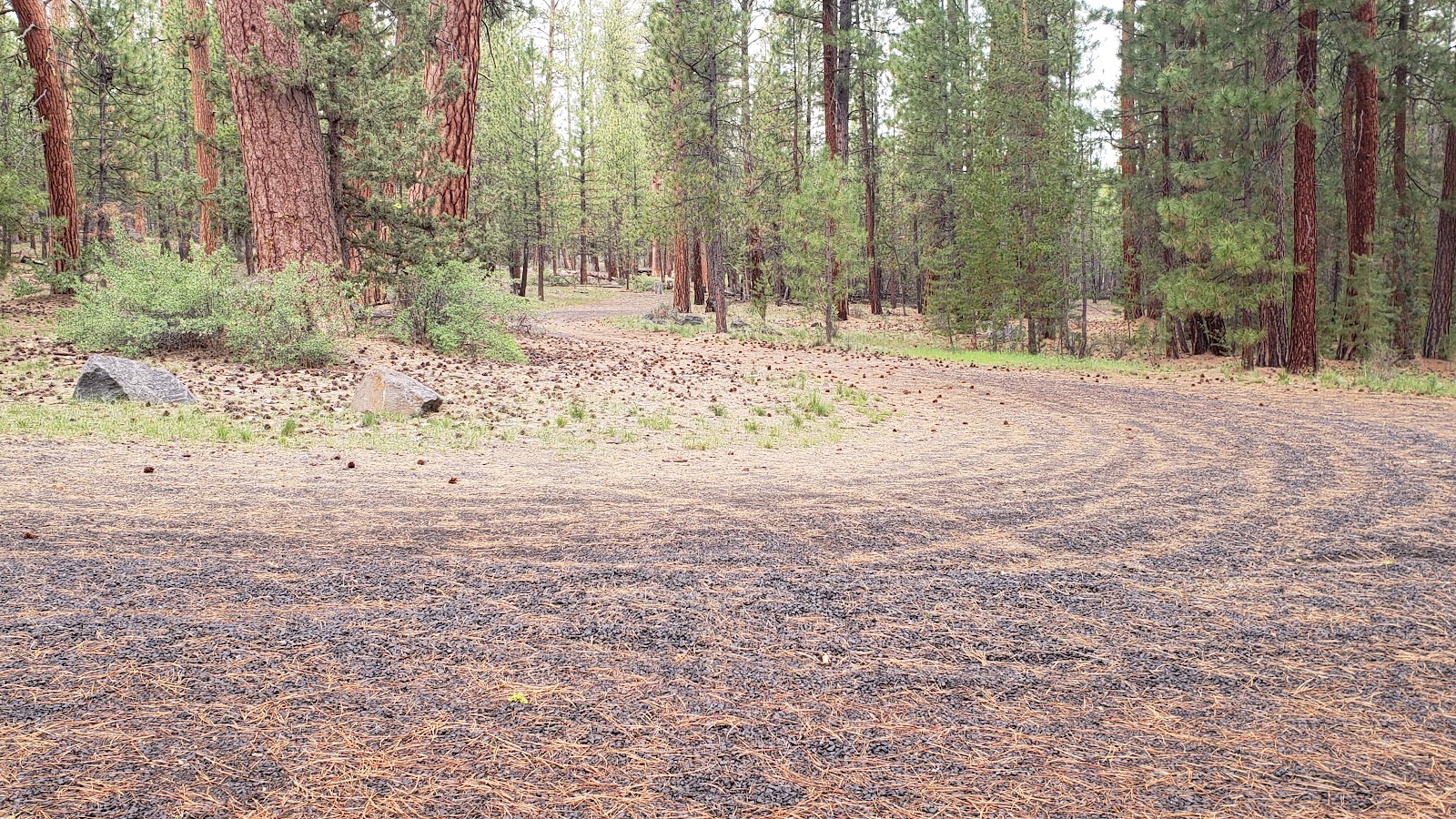 Lower Buck Creek Forest Camp