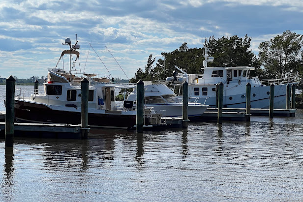 Carolina Beach State Park Campground