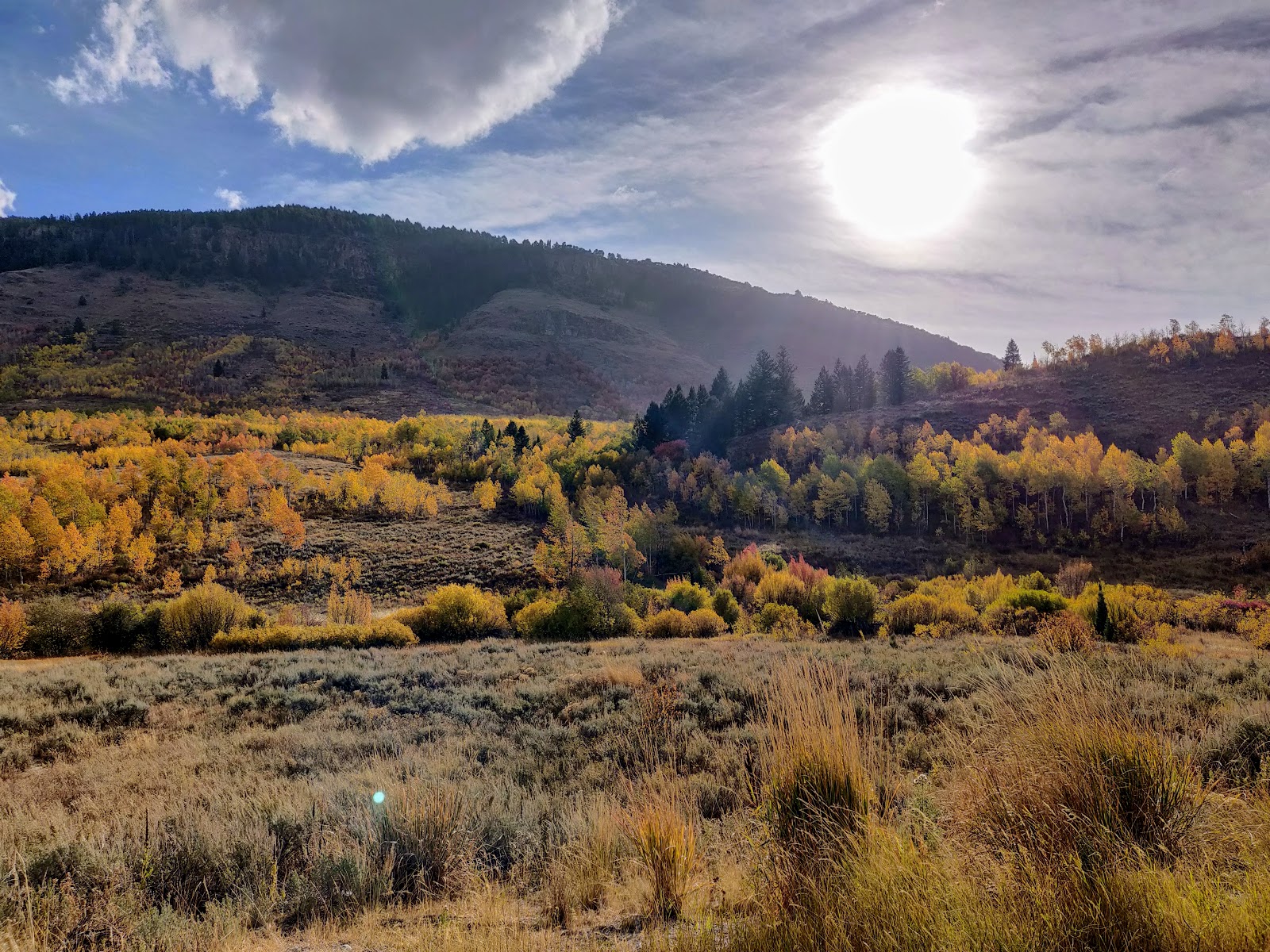 Red Banks Campground