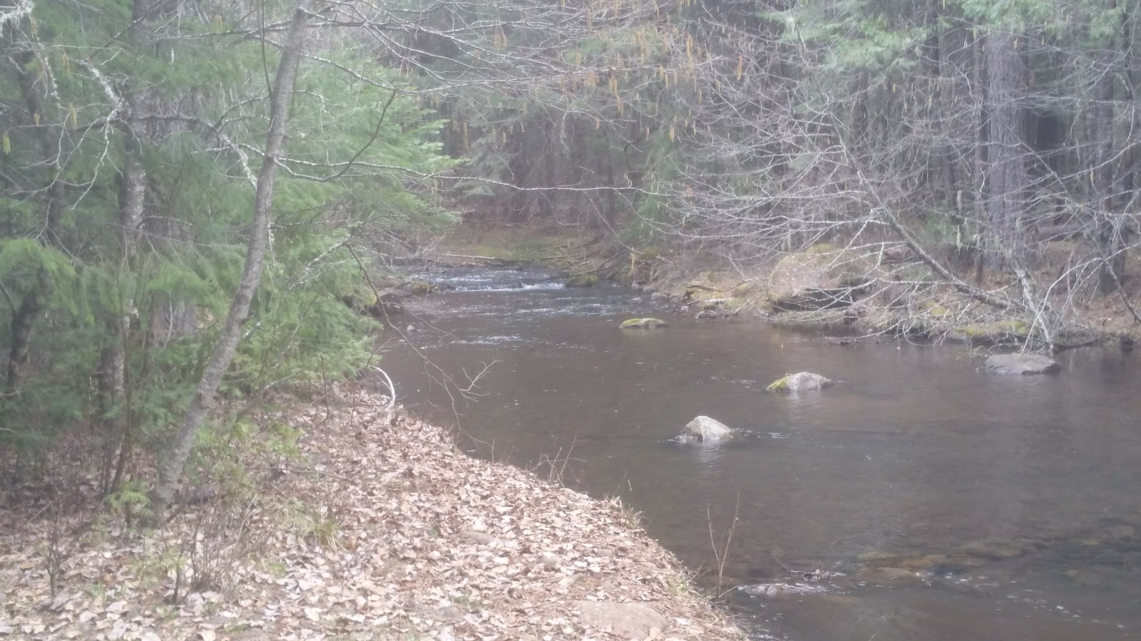 Parker Meadows Campground