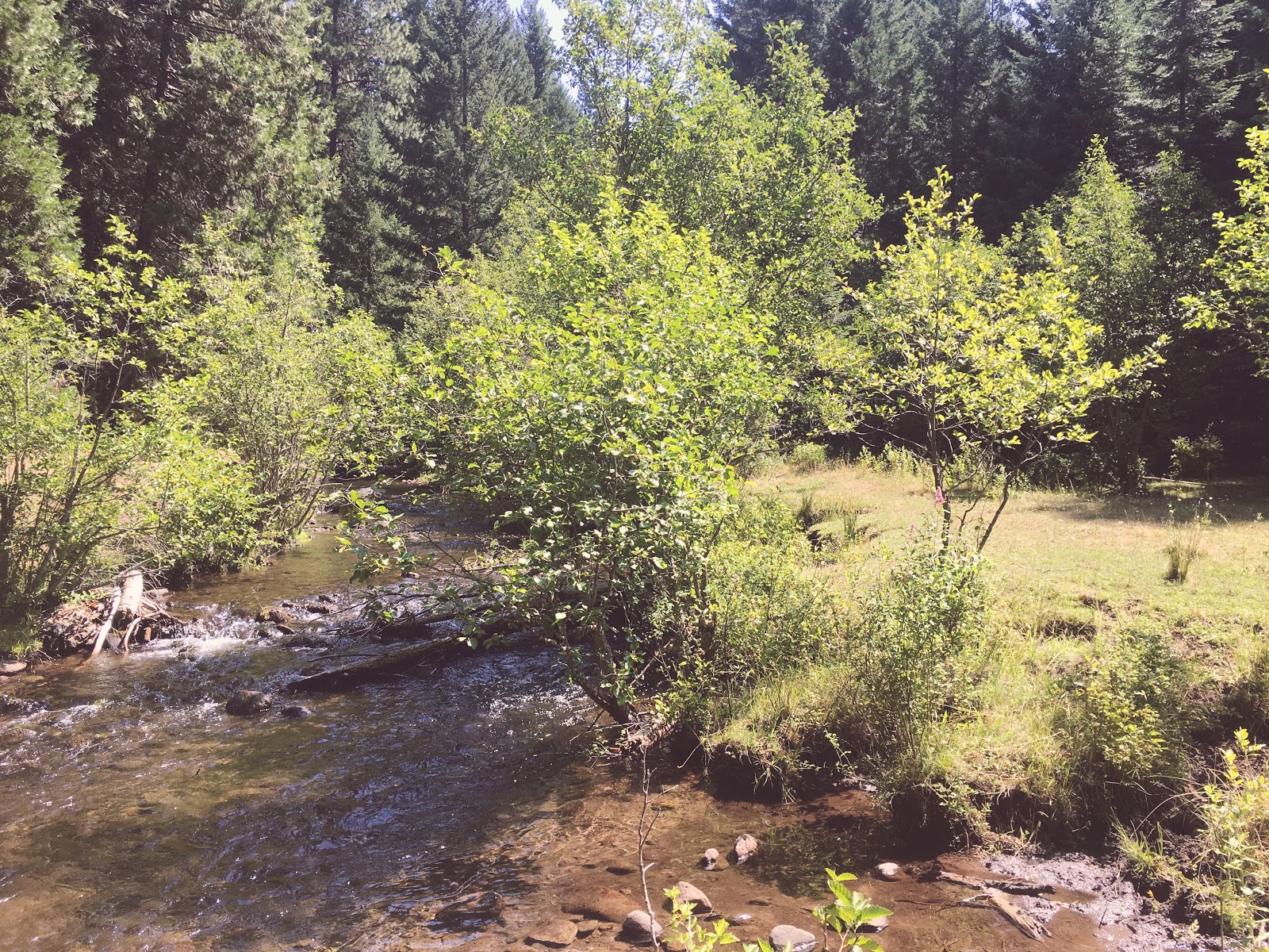 Whiskey Spring Campground