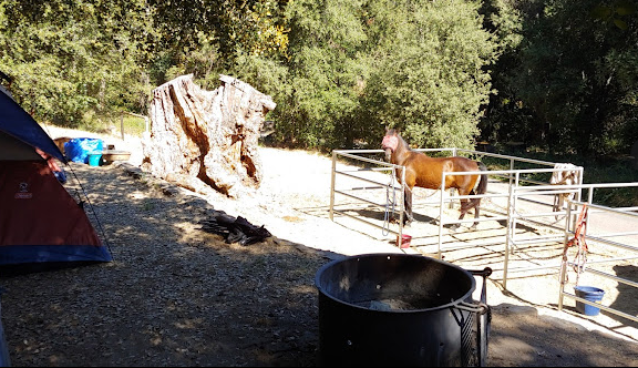 Green Valley Horse Camp