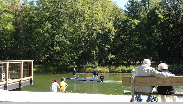 Huron-Manistee National Forests
